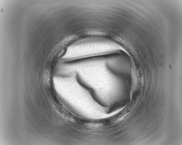 X0000087690255200705251716