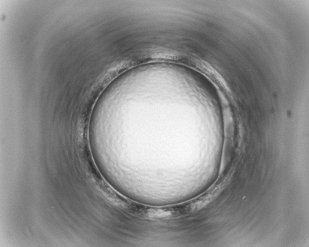 X0000087690257200705251716