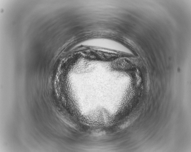 X0000087690258200705251716