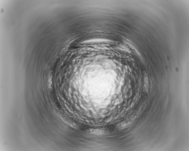 X0000087690259200705251716