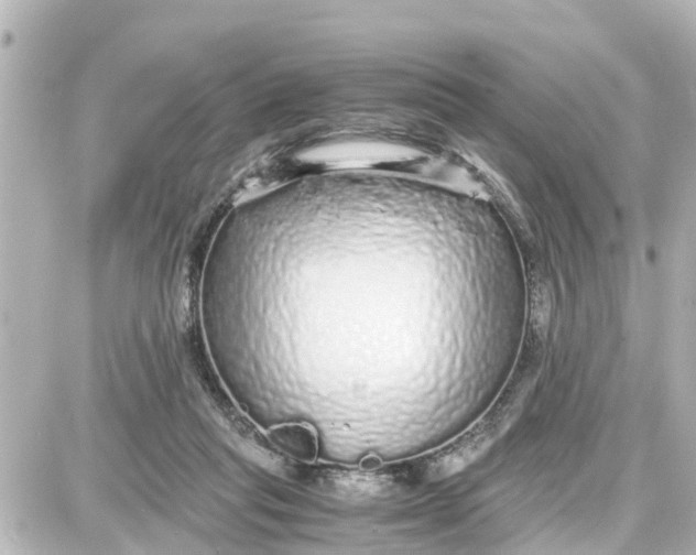 X0000087690261200705251716