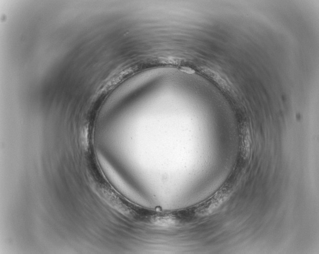 X0000087690262200705251716