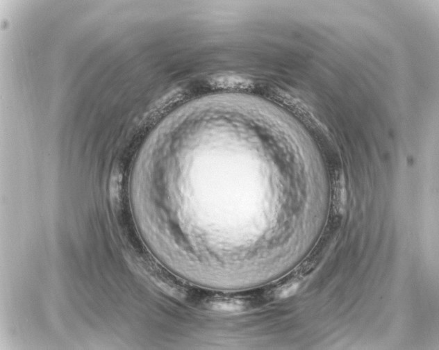 X0000087690263200705251716