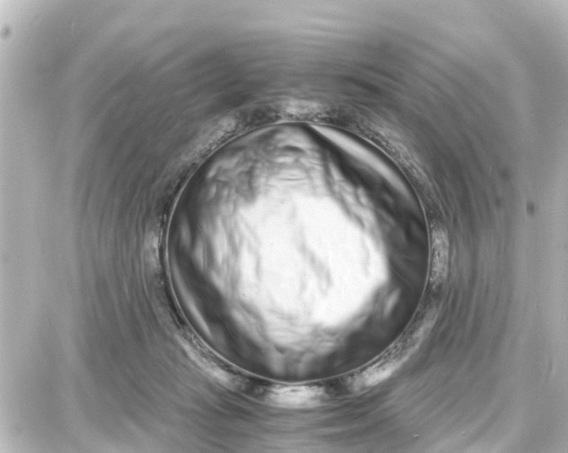 X0000087690269200705251716
