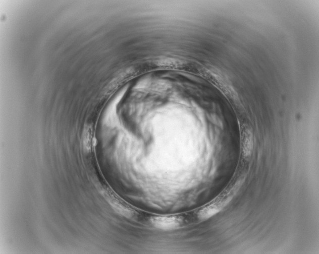 X0000087690273200705251716
