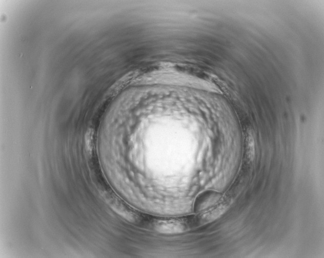 X0000087690275200705251716