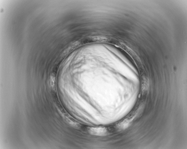 X0000087690281200705251716