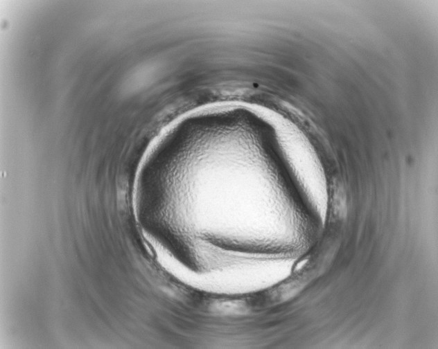 X0000087690283200705251716