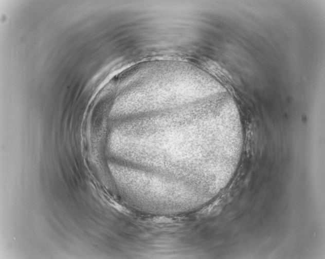 X0000087690290200705251715