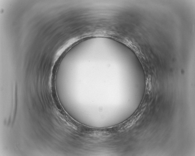 X0000087690292200705251715