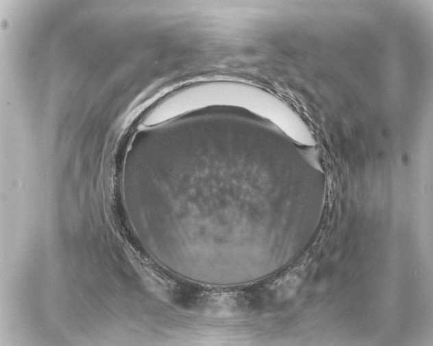 X0000087690295200705251715