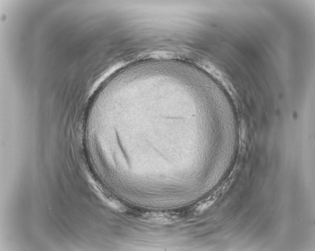 X0000087690297200705251715