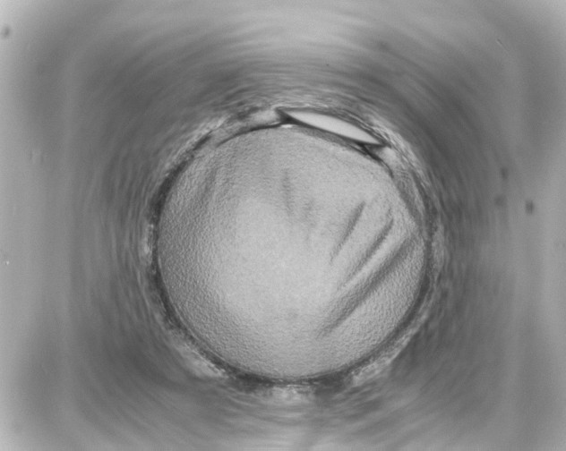 X0000087690305200705251715