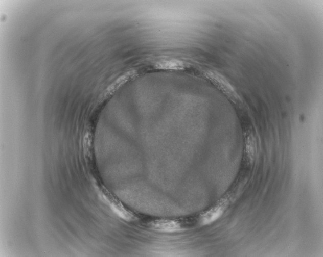 X0000087690322200705251715