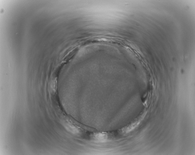 X0000087690325200705251715