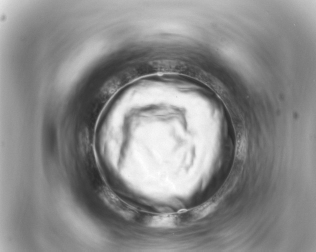 X0000087690335200705251715
