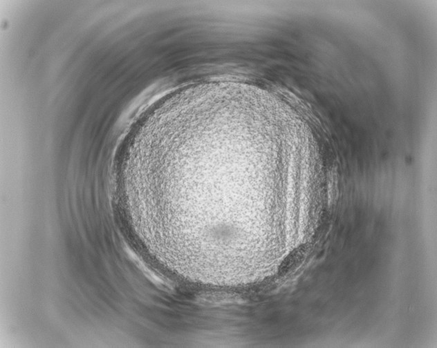 X0000087690339200705251714