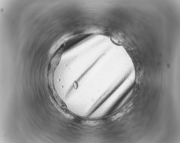 X0000087690341200705251714
