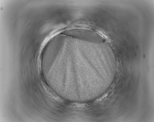 X0000087690343200705251714