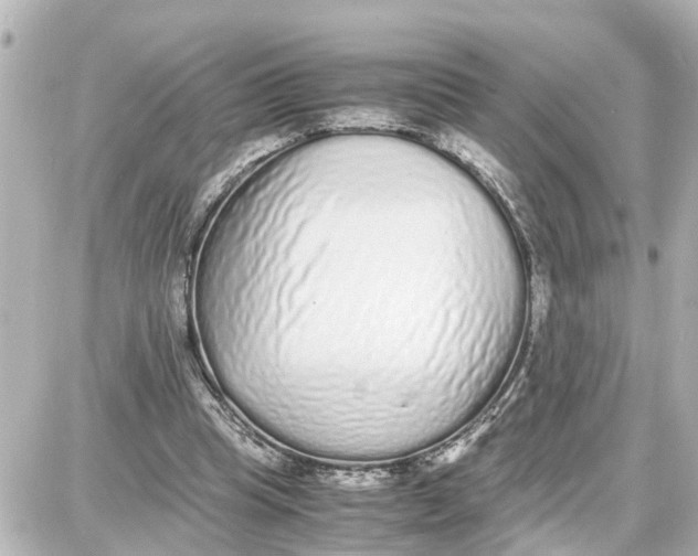 X0000087690345200705251714