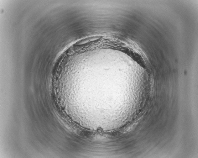 X0000087690346200705251714