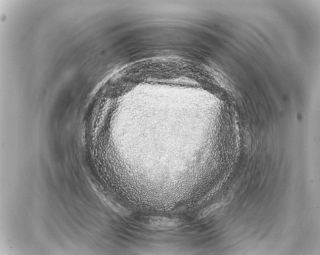 X0000087690347200705251714