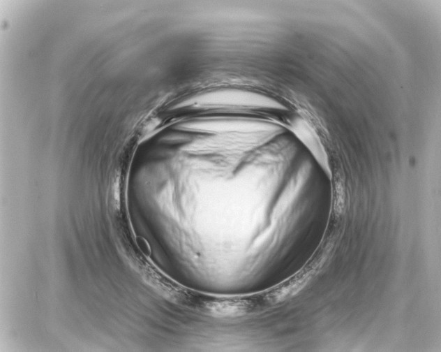 X0000087690358200705251714