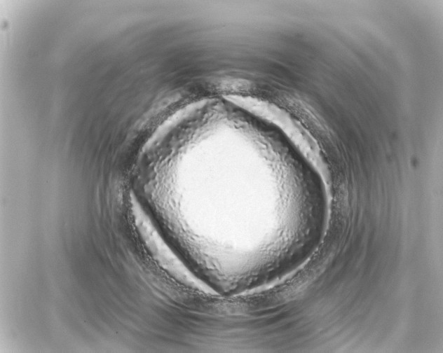 X0000087690363200705251714