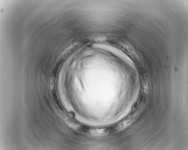 X0000087690374200705251714