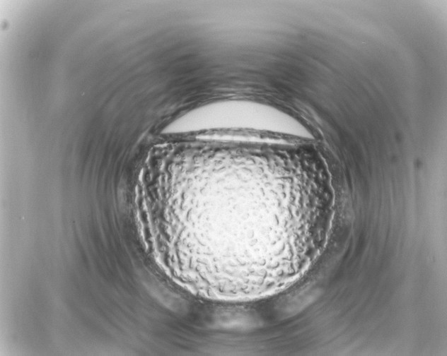 X0000087690377200705251715