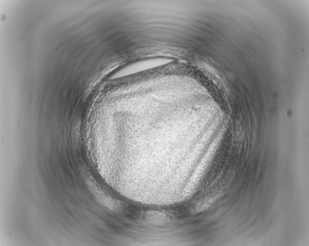 X0000087690394200705251714