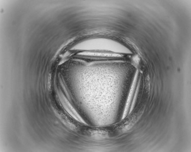 X0000087690400200705251714