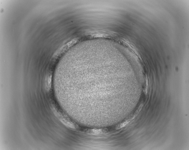 X0000087690406200705251713