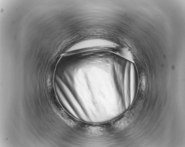 X0000087690408200705251713