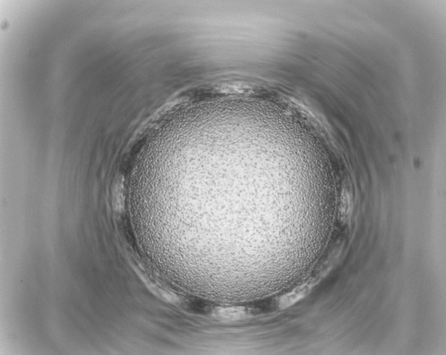 X0000087690413200705251713