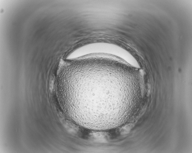 X0000087690417200705251713