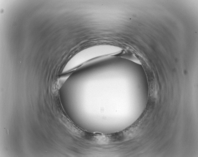 X0000087690425200705251713
