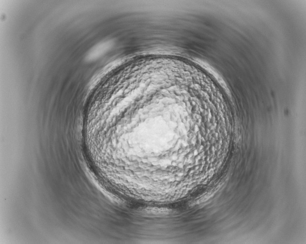 X0000087690437200705251712