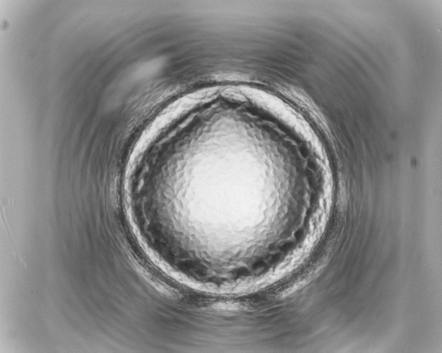 X0000087690441200705251712