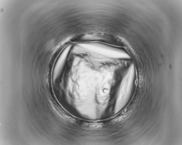 X0000087690443200705251712