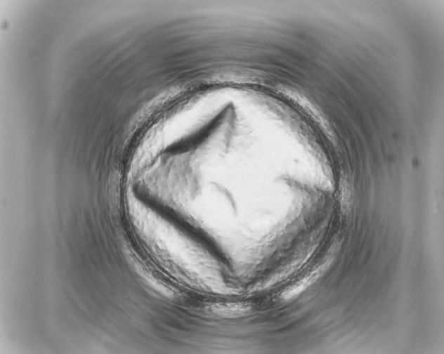 X0000087690445200705251712