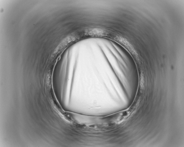 X0000087690449200705251713