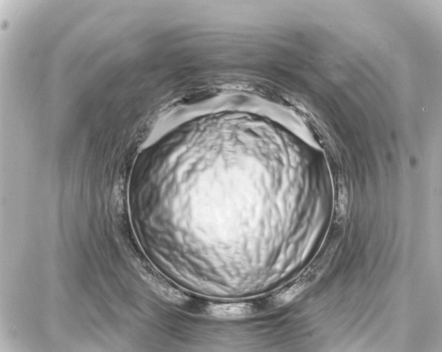 X0000087690461200705251713