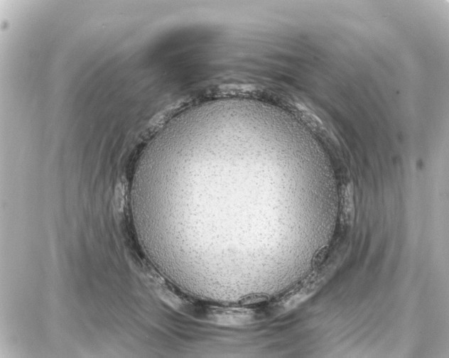 X0000087690463200705251713