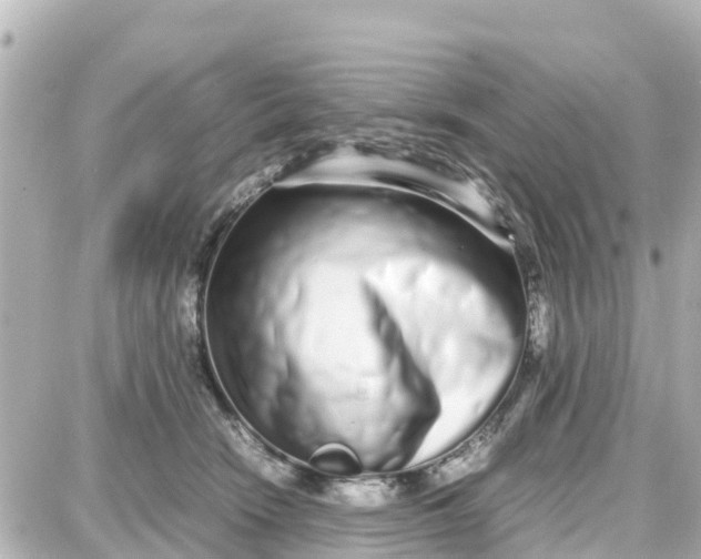 X0000087690466200705251713