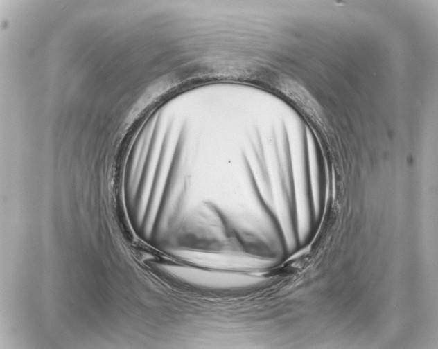 X0000087690483200705251712