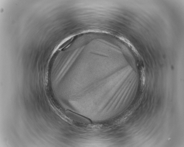 X0000087690484200705251712
