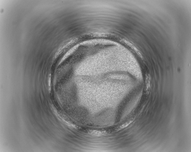 X0000087690494200705251712