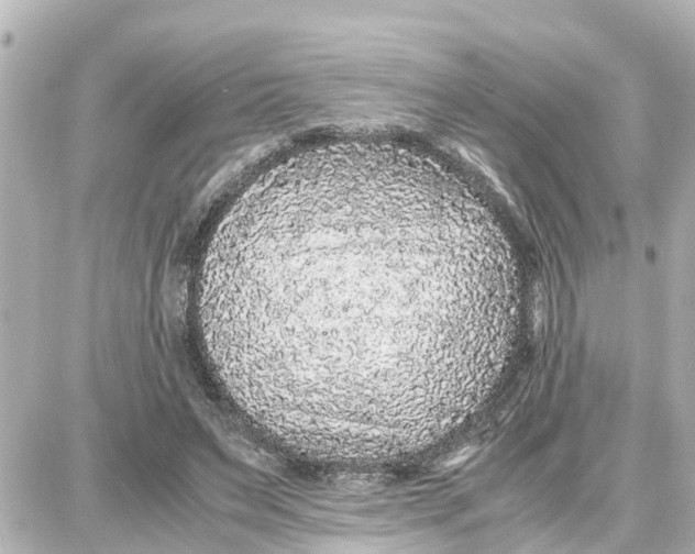 X0000087690495200705251712