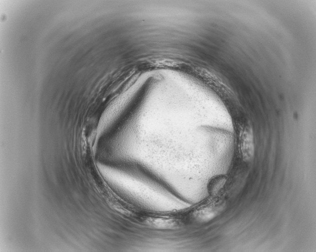 X0000087690506200705251712